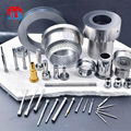 Special Shaped Punches & Dies Progressive Mold Components