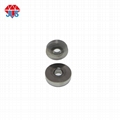 Sonderanfertigungen Shoulder Carbide Punches Präzisionsstanzwerkzeug 4