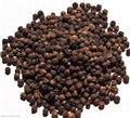 Black pepper 1