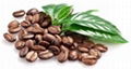 Arabica coffe beans