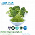 Vegetable Powder Freeze Dried Broccoli Powder 1