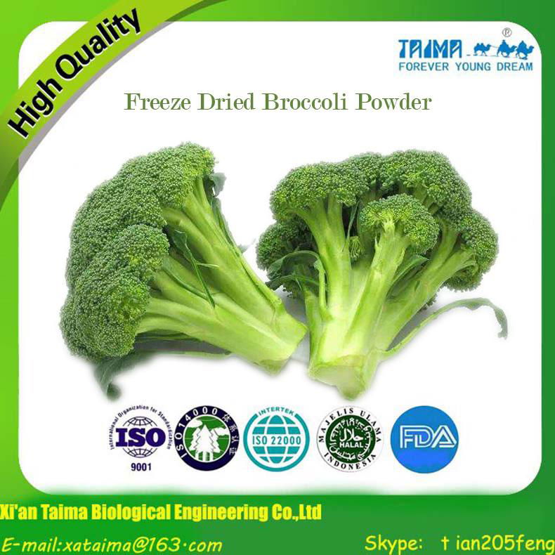 Vegetable Powder Freeze Dried Broccoli Powder 3