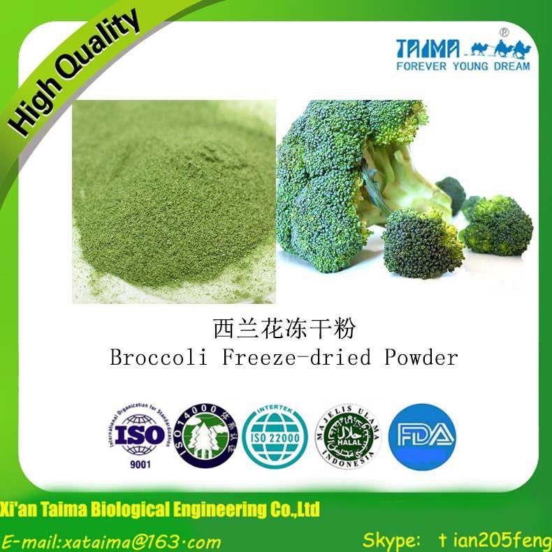 Vegetable Powder Freeze Dried Broccoli Powder 4
