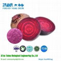 fiber freeze dried juice concentrate Beet root powder