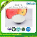 Super Quality Freeze-dried Apple Fruit Powder 3