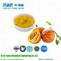 100% Natural Food Grade Freeze Dried Pumpkin Powder 2