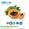free sample 100% Natural Freeze Dried Fruit powder dried papaya powder 2