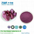 Purple sweet potato color 3