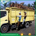 palm oil processing machine