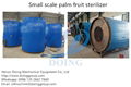 small palm oil mill plant 1-5tpd palm