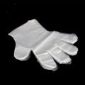 Disposable Clean Plastic PE Food Handing Gloves 1