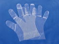 Disposable Clean Plastic PE Food Handing Gloves 4