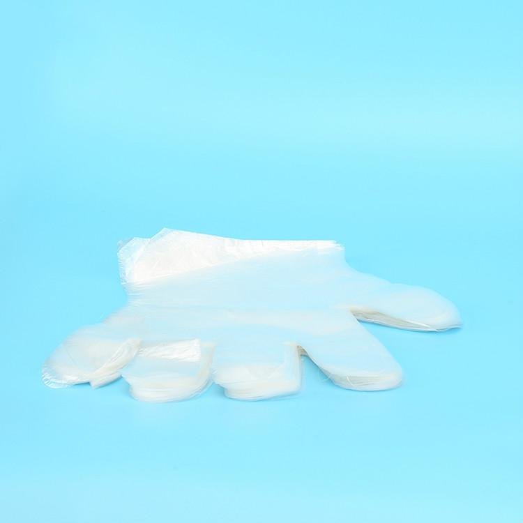 China supplier disposable plastic cheap LDPE HDPE PE Gloves 2