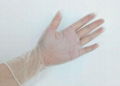 PVC Gloves/Vinyl Gloves/Powder or Powder free 2