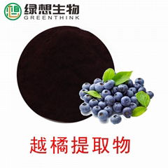 Bilberry Extract 25%