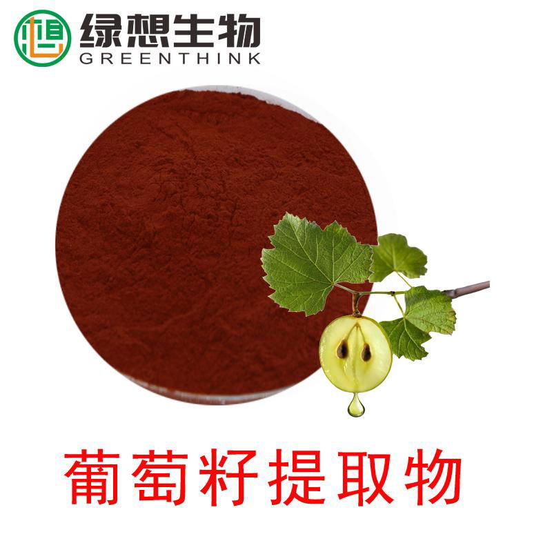 Grape Seed Extract  95%