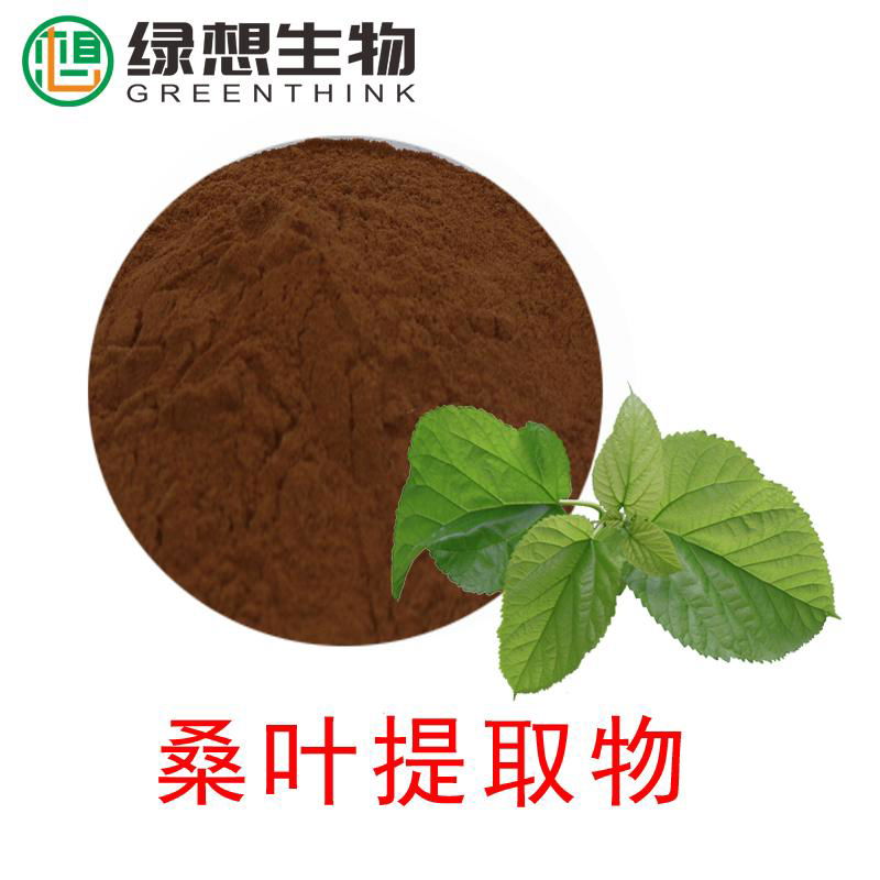 Mulberry Leaf Extract  4:1   10:1  flavone