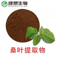 Mulberry Leaf Extract  4:1   10:1