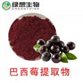 Acai Berry Extract  4:1  1