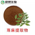 Urtica Dioica Extract  10:1  1%  7%