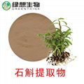 Dendrobium Extract  1%  Total Alkaloides