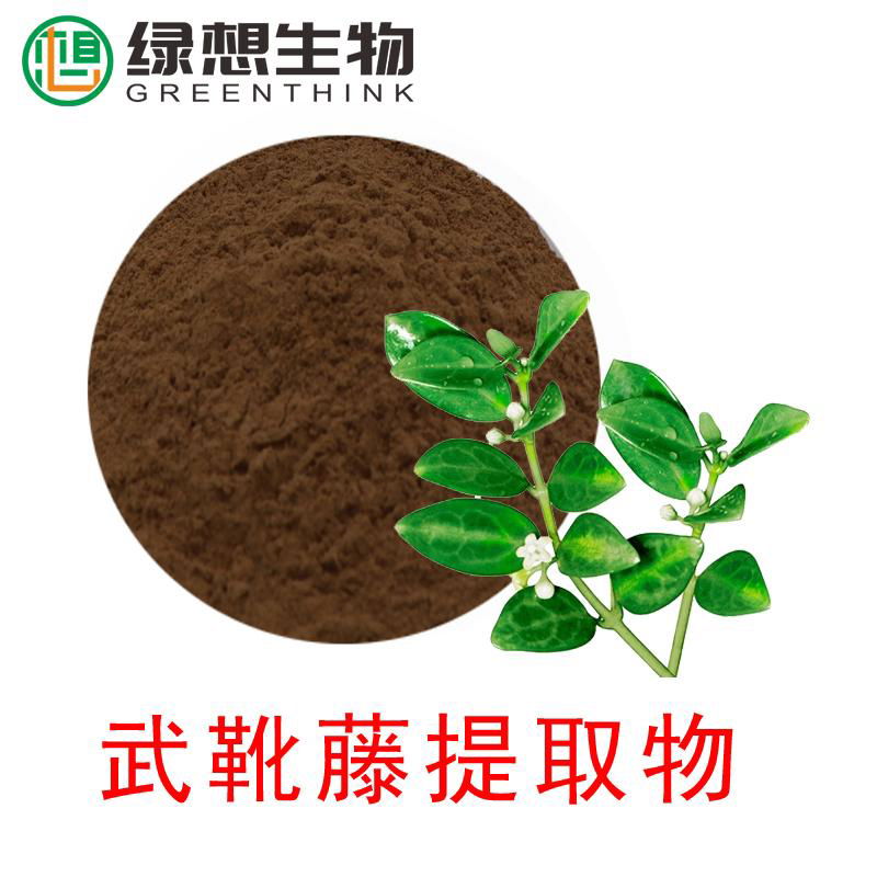 Gymnema Extract 25%  Gymnemic Acids