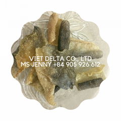 VIET NAM DRIED FISH SKIN FOR SNACK PRODUCTION 
