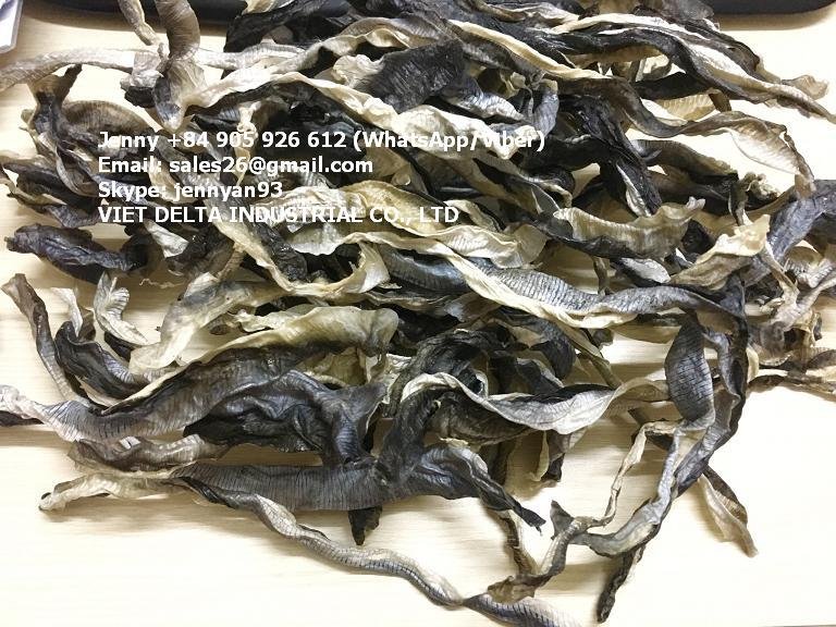 VIET NAM DRIED FISH SKIN FOR SNACK PRODUCTION  3
