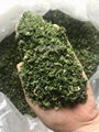 WHOLESALE ULVA LACTUCA/ GREEN SEAWEED  3