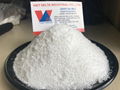 LOW FAT DESICCATED COCONUT IN BULK  4