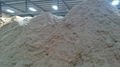 SUGARCANE BAGASSE IN BULK ( MS. JENNY) 1