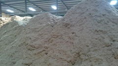 SUGARCANE BAGASSE IN BULK ( MS. JENNY)