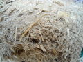 SUGARCANE BAGASSE IN BULK ( MS. JENNY) 4