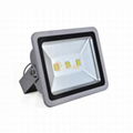 Waterproof 50W outdoor Led backyard landscape flood light with best price