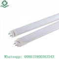 4ft T8 tube light