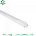 4ft T8 tube light