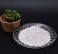 Expanded agriculture agricultural perlite 3