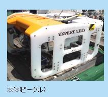 日本KWK原装LEO型水下机器人 4