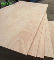China factory okoume bintangor commercial plywood for furniture 2
