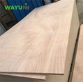 China factory okoume bintangor commercial plywood for furniture 3