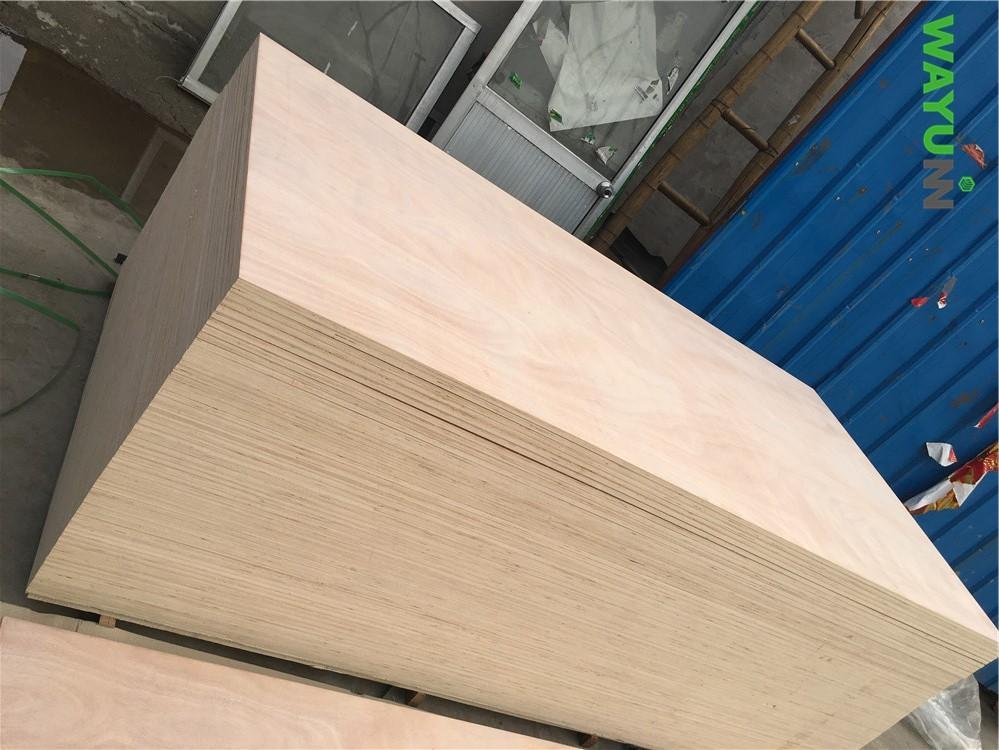 China factory okoume bintangor commercial plywood for furniture 5