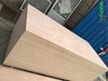 China factory okoume bintangor commercial plywood for furniture 5