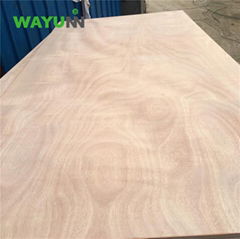 China factory okoume bintangor commercial plywood for furniture