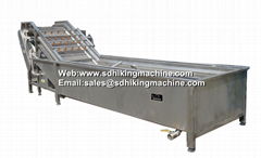 vegetable washing machine