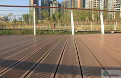 Water Proof WPC Wood Plastic Composite Decking