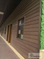 Wood Plastic Composite Wall Cladding