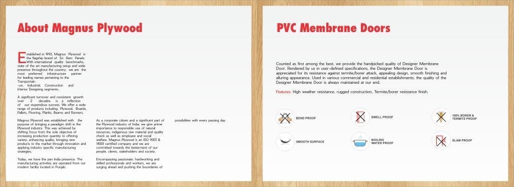 PVC Membrane Doors  2