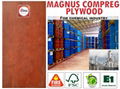 Compreg Plywood Flooring for Chemical Industry