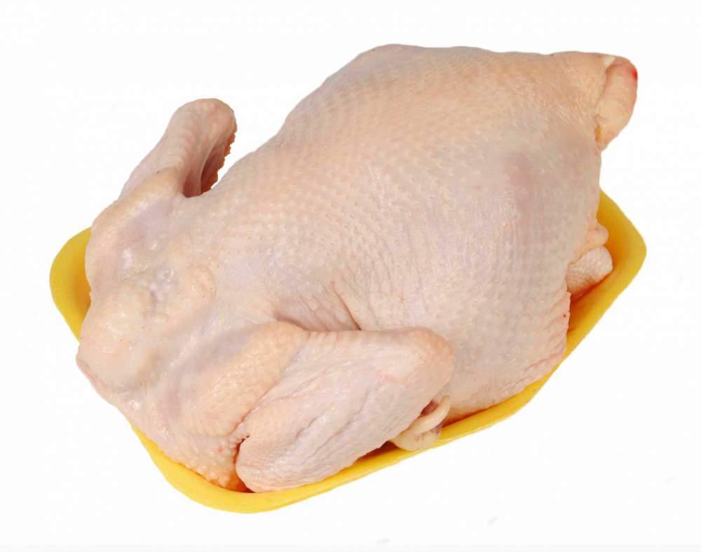 Chicken's Meat (Ukraine Services or Others) Frozen Food Processed