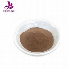 Pure Natural Epimedium Extract Icariin 5%-10%